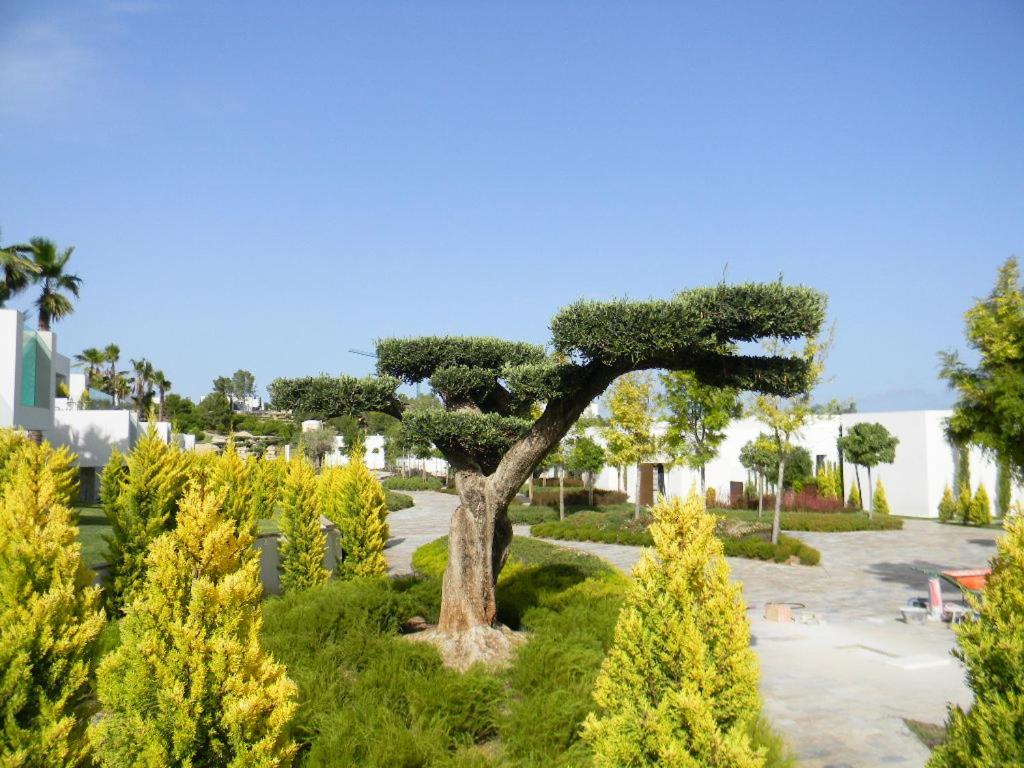 Limonero 17, Golf Club In Las Colinas Dehesa de Campoamor  Екстер'єр фото